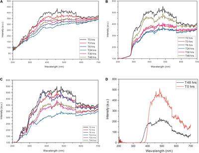 Ofloxacin as a Disruptor of Actin Aggresome “Hirano Bodies”: A Potential Repurposed Drug for the Treatment of Neurodegenerative Diseases